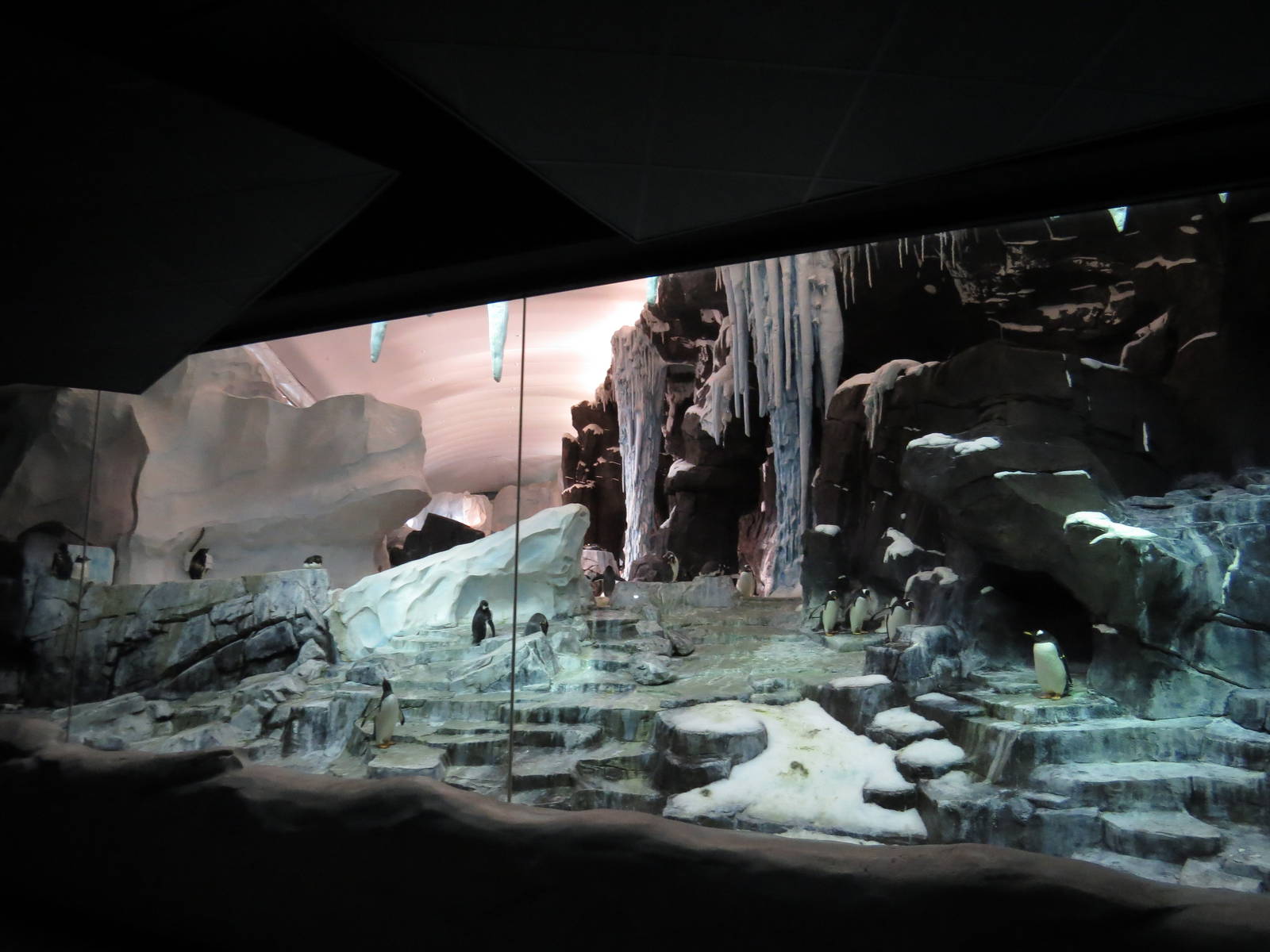 Penguin exhibit - as seen from 'Antarctica' ride, March 2015