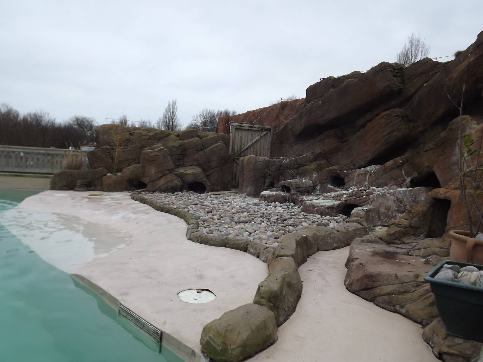 Penguin exhibit at Blackpool Zoo 26/02/12