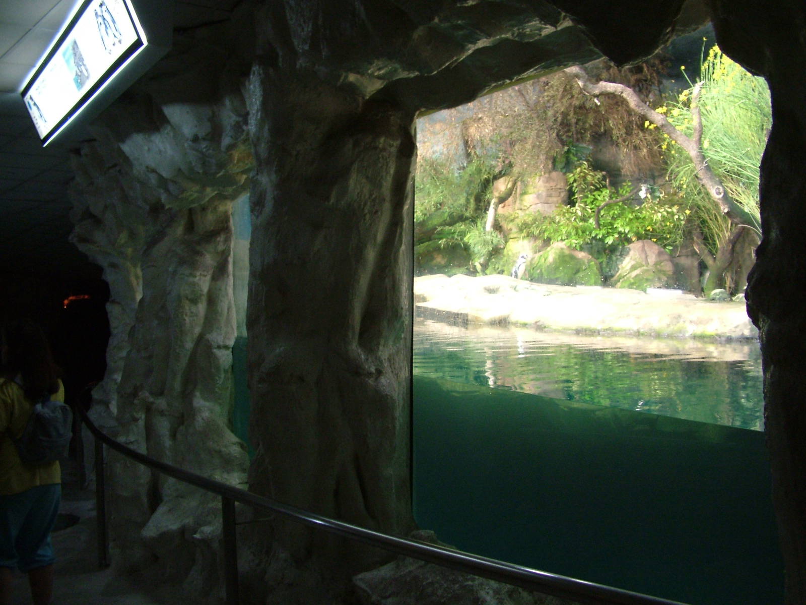 Penguin Exhibit at Faunia, 27/05/11