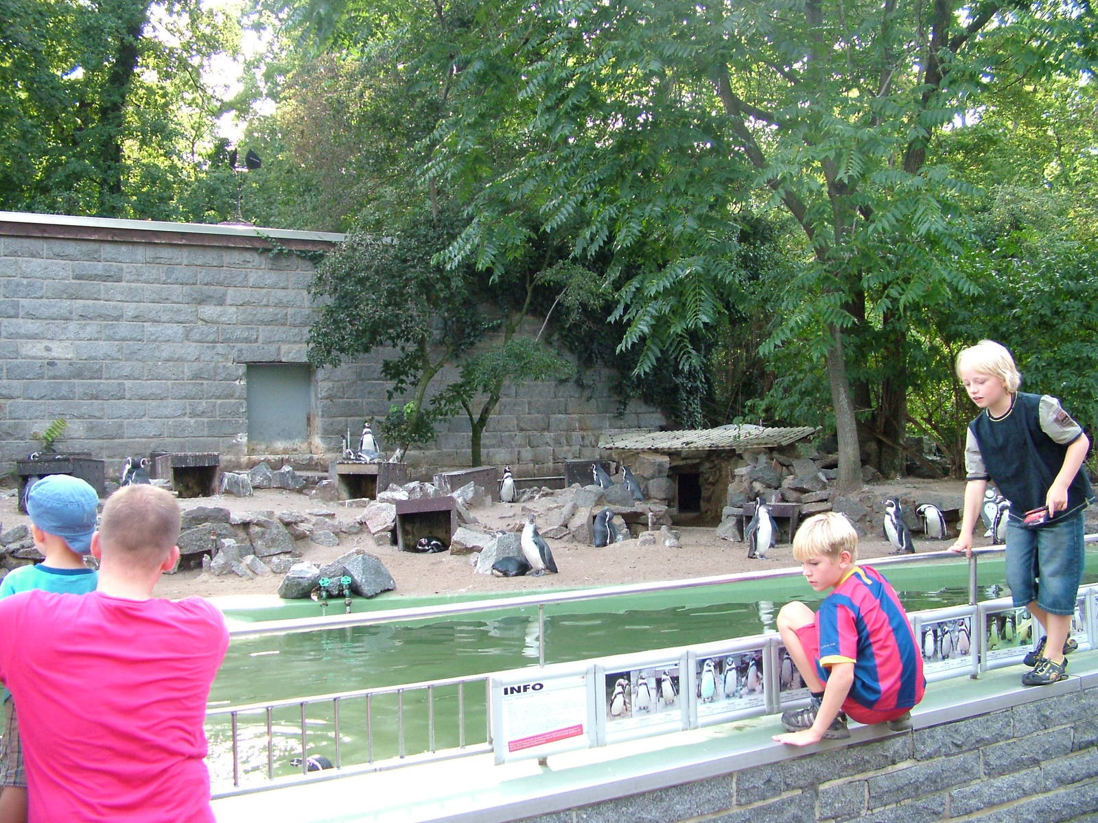 Penguin Exhibit at Halle, 04/09/11
