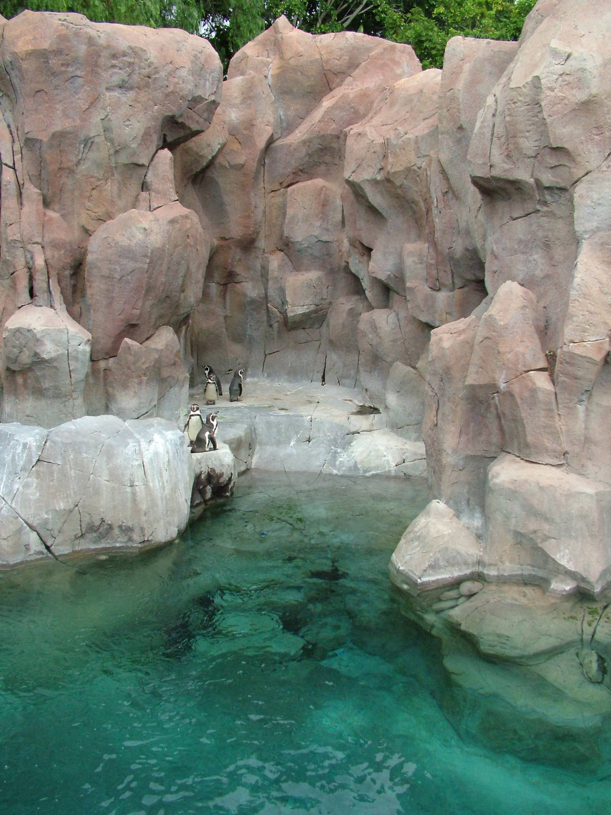Penguin Exhibit at Jungle Park (Las Aguilas), 13/11/10