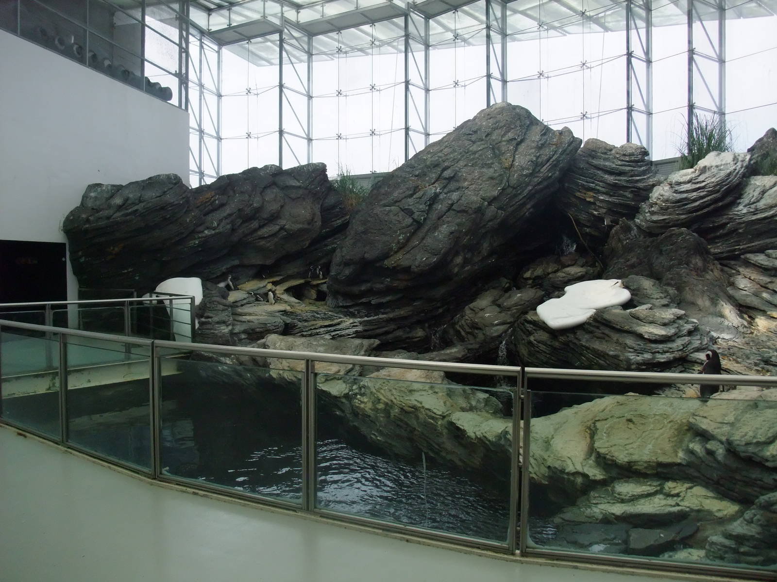 Penguin Exhibit at Lisbon Oceanarium, 25/05/11