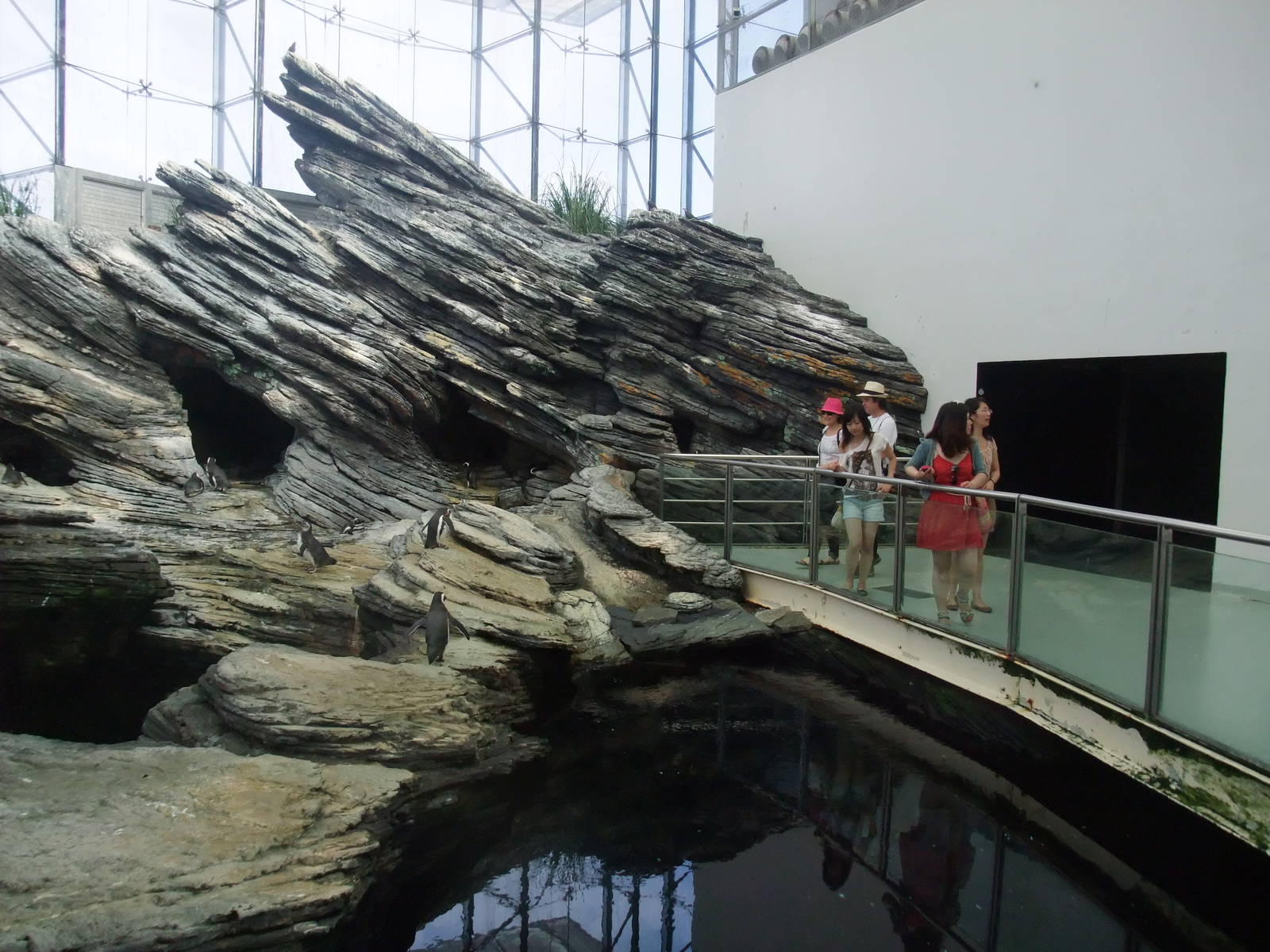 Penguin Exhibit at Lisbon Oceanarium, 25/05/11
