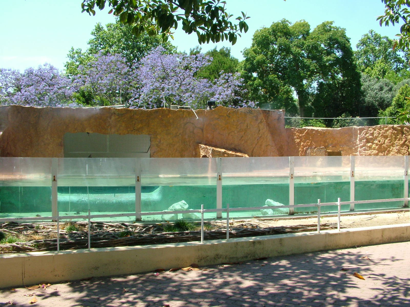 Penguin Exhibit at Lisbon Zoo, 24/05/11