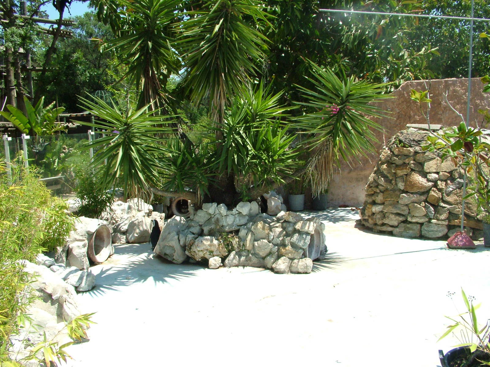 Penguin Exhibit at Lisbon Zoo, 24/05/11