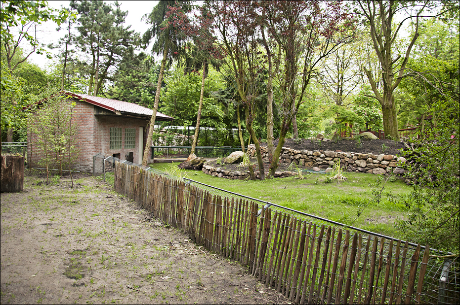 Penguin exhibit at Thüle