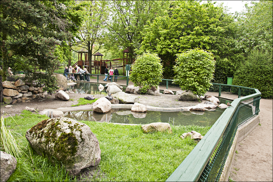 Penguin exhibit at Thüle