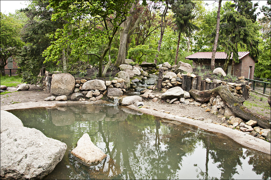 Penguin exhibit at Thüle