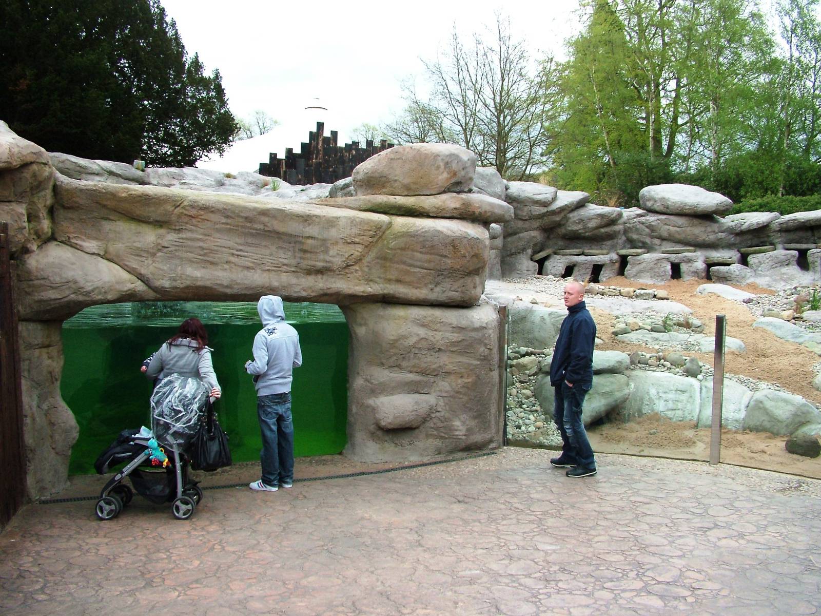Penguin Exhibit at West Mids, 05/05/12