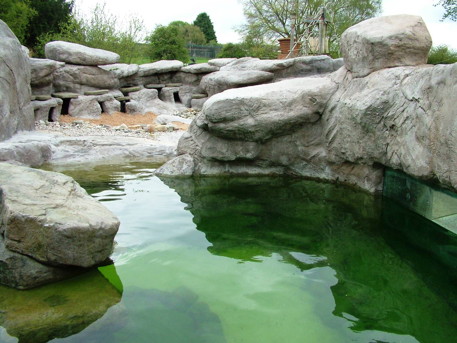 Penguin Exhibit at West Mids, 05/05/12