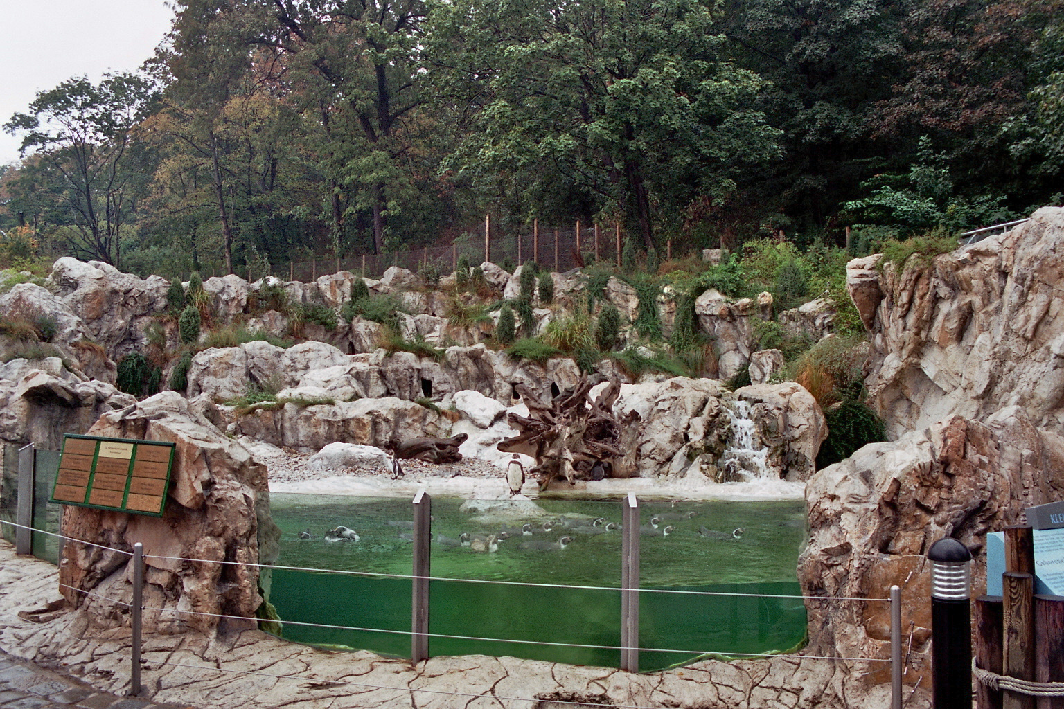 Penguin exhibit detail