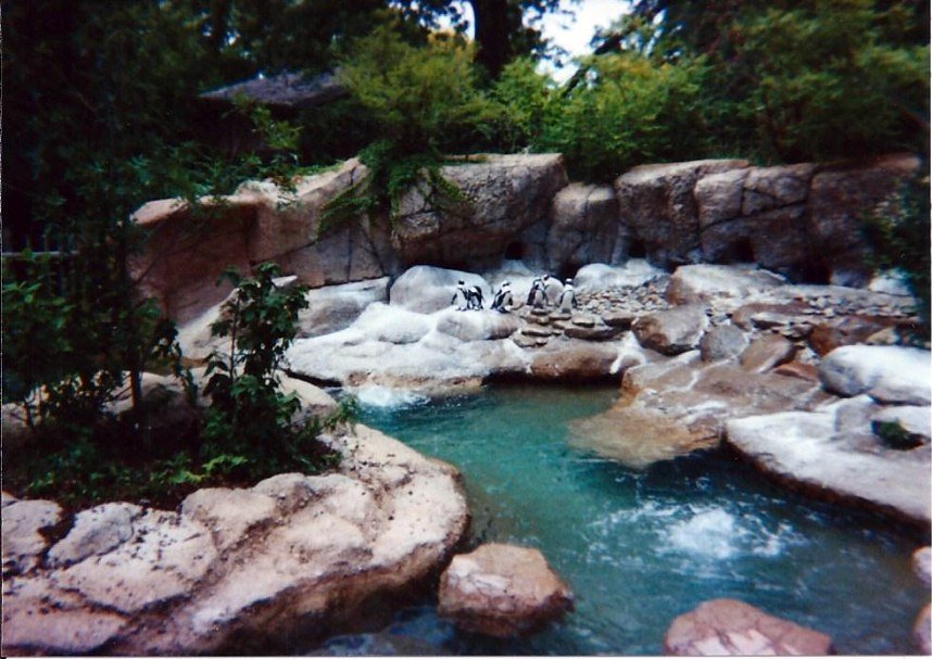 Penguin Exhibit - June 2000