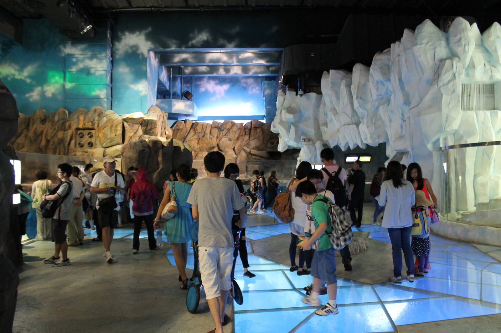 Penguin exhibit - June 2013