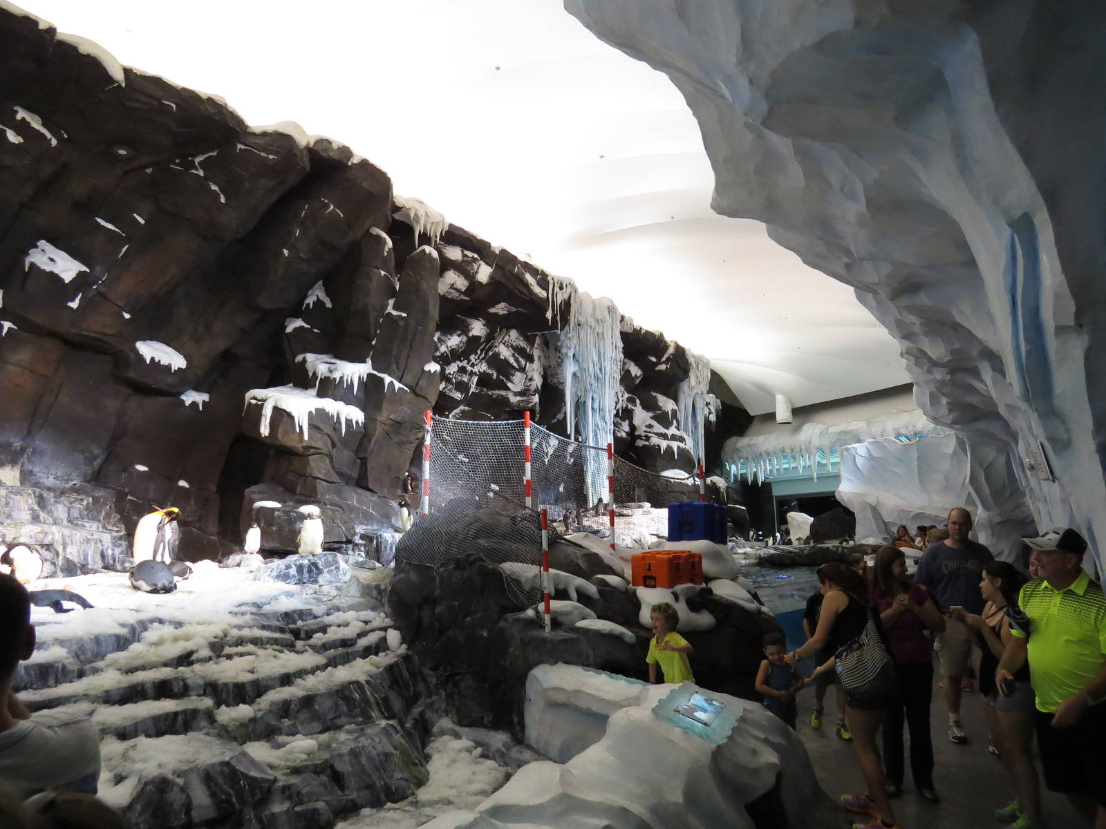 Penguin exhibit, March 2015