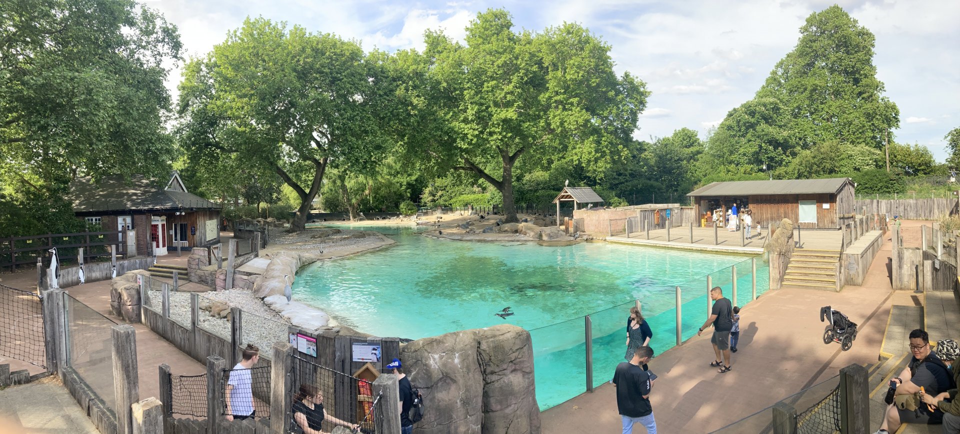 Penguin exhibit panorama