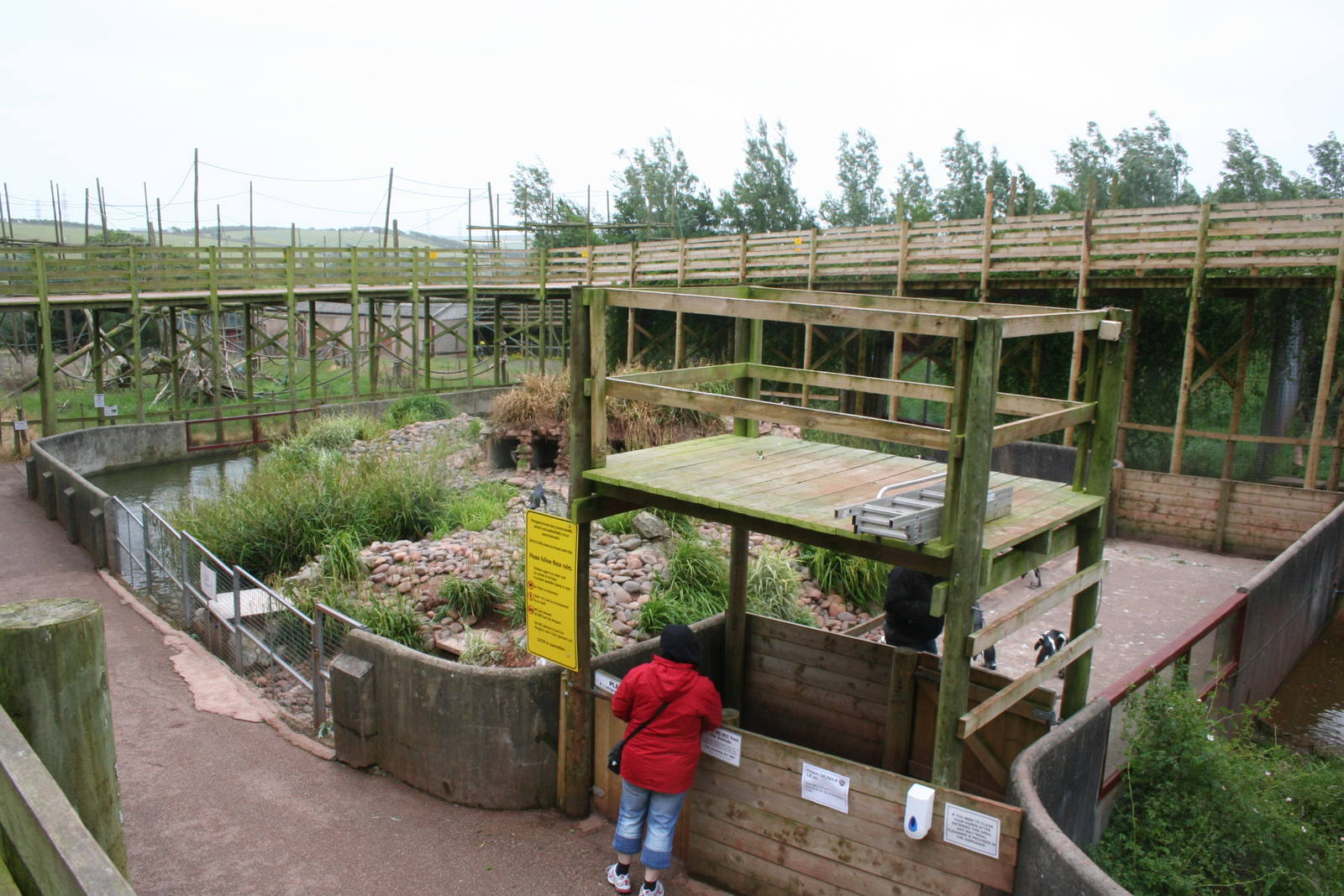 Penguin exhibit - South lakes wild animal park 08