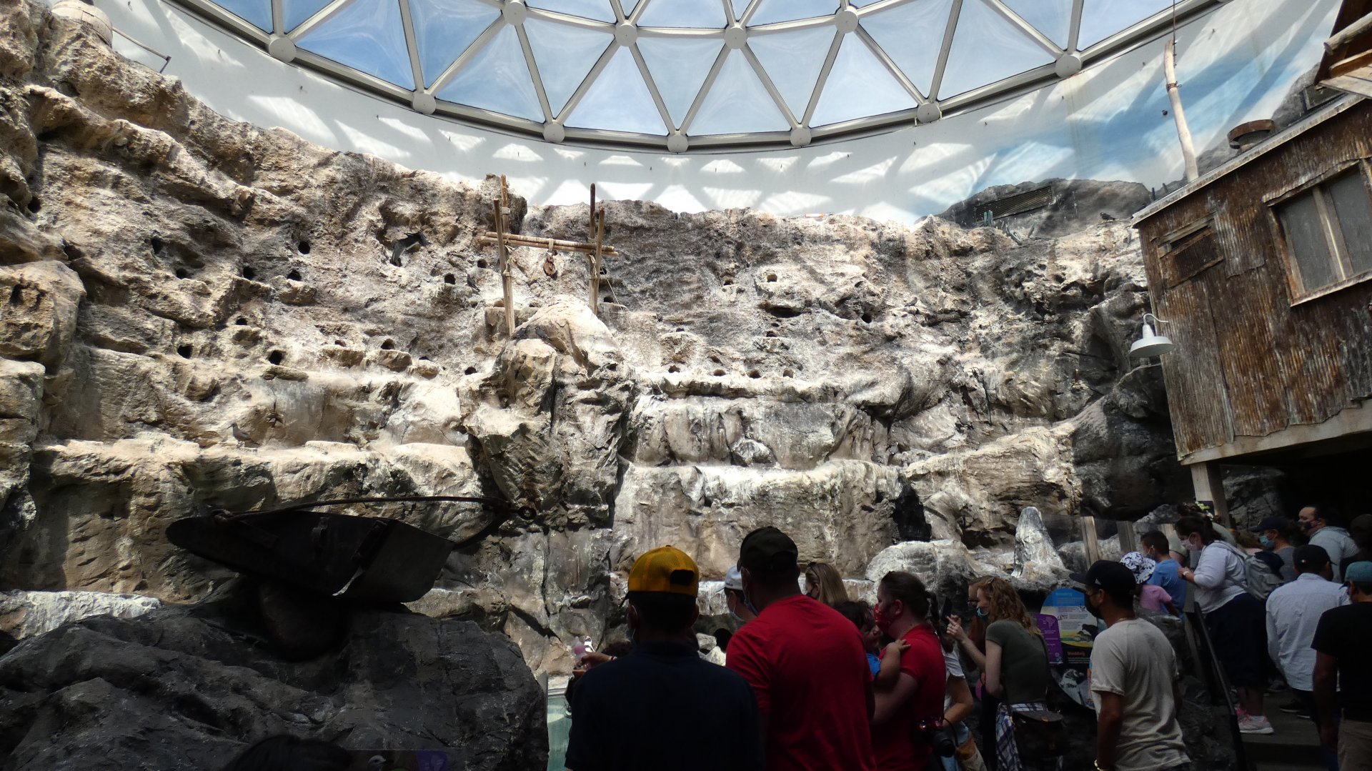 Penguin Exhibit, The Living Coast - Sep. 2021