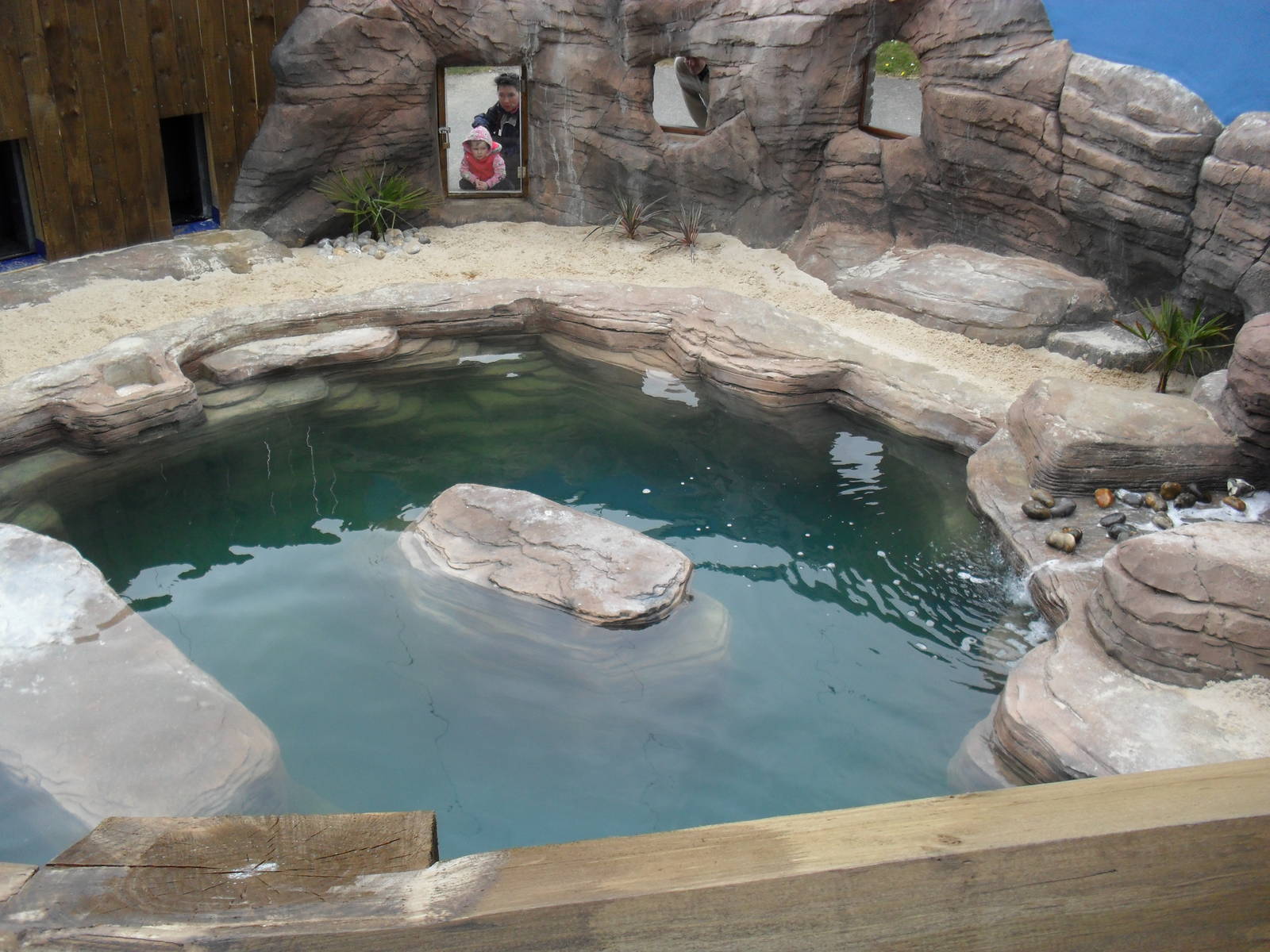 Penguin Exhibit