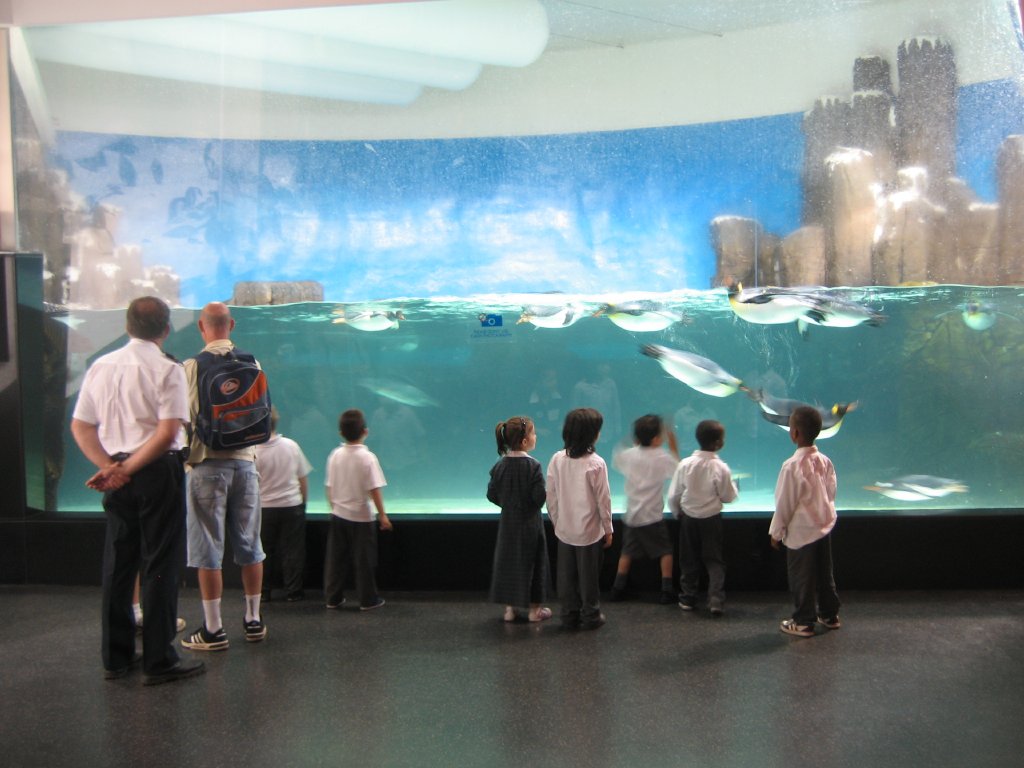 Penguin exhibit
