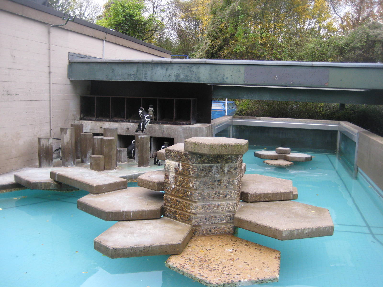 Penguin exhibit