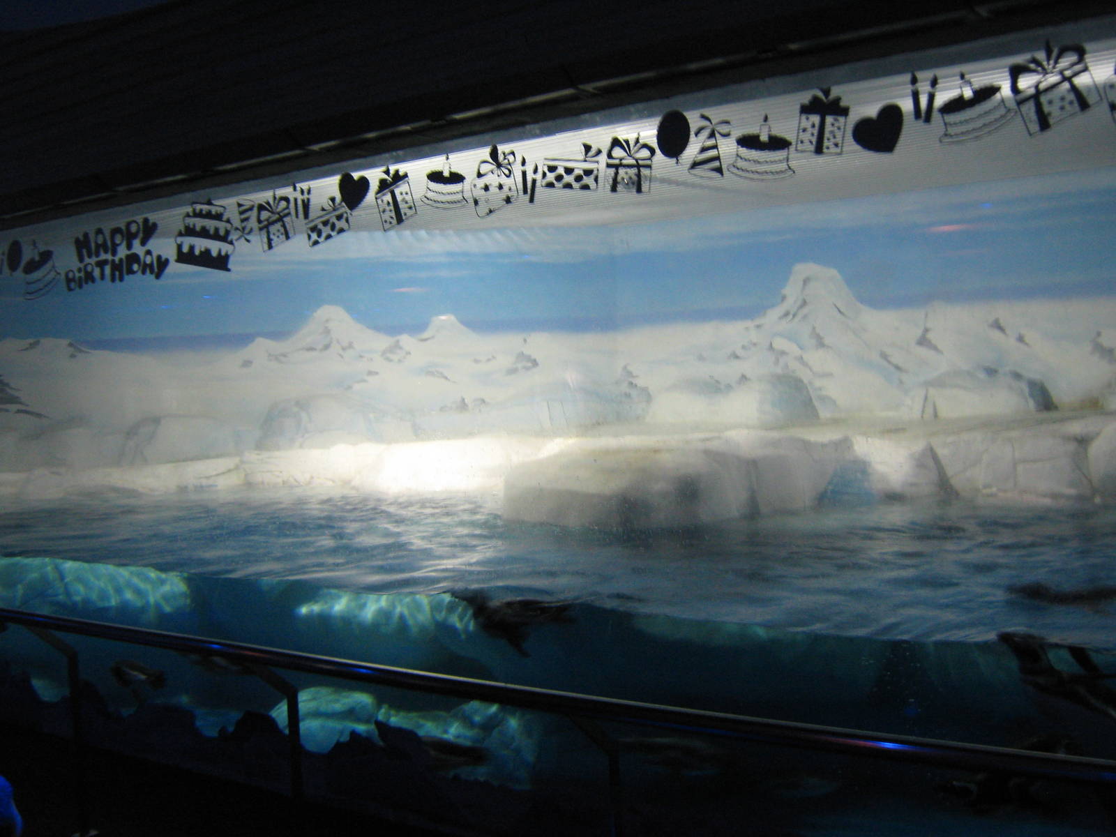 penguin exhibit