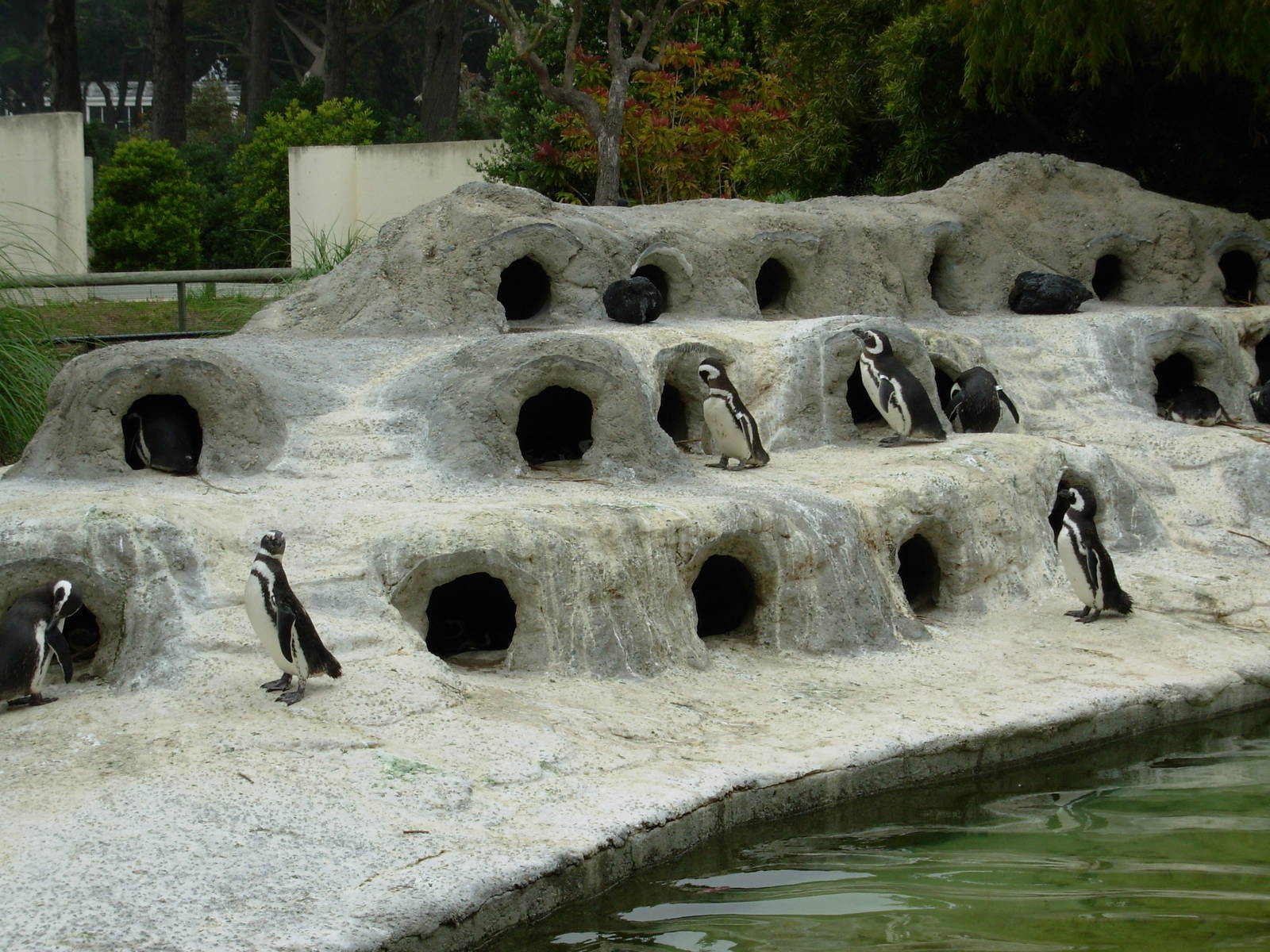 Penguin Exhibit
