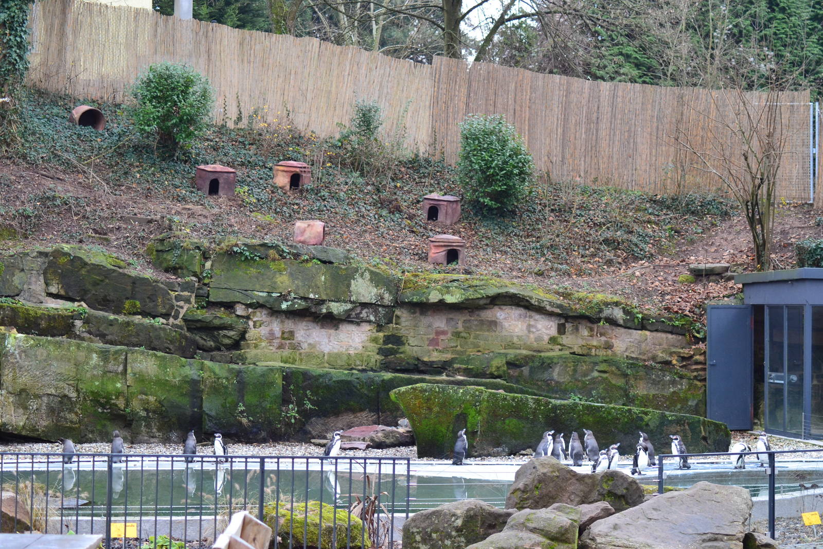 Penguin Exhibit