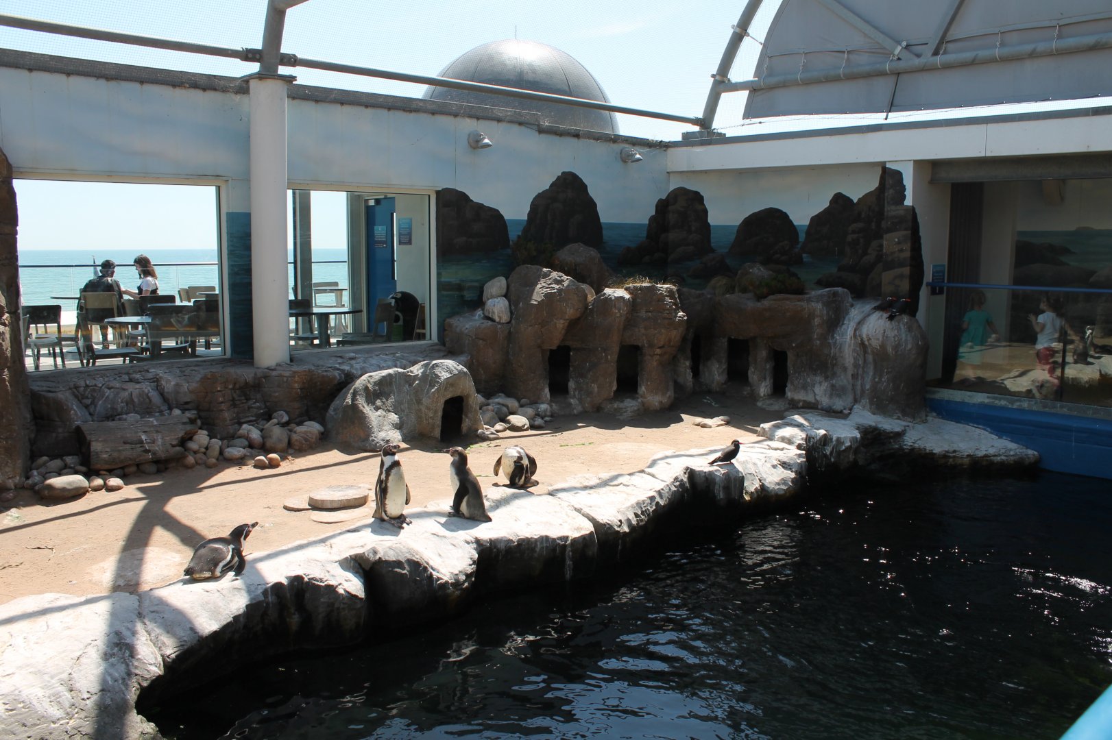 Penguin Exhibit