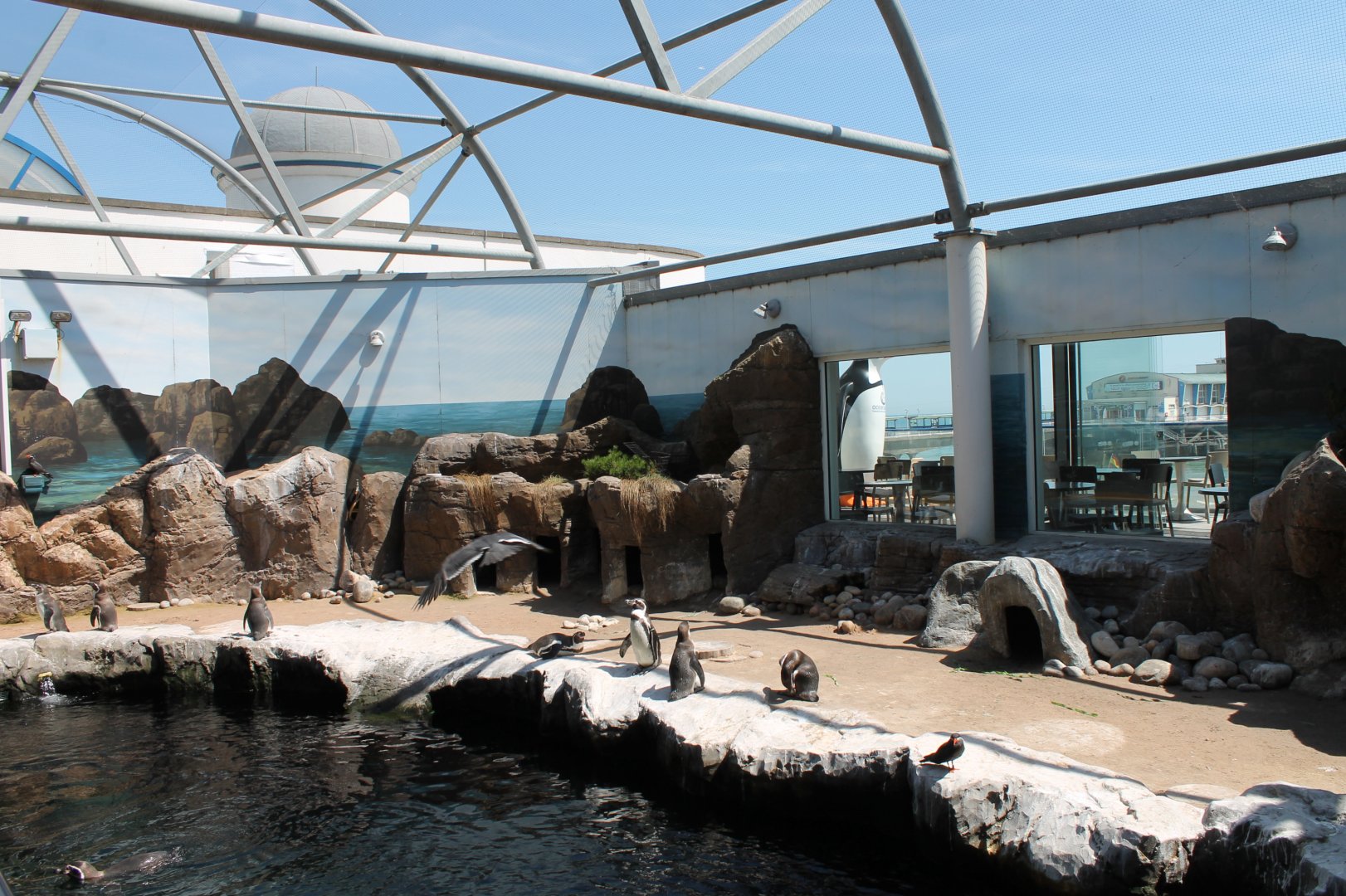Penguin Exhibit