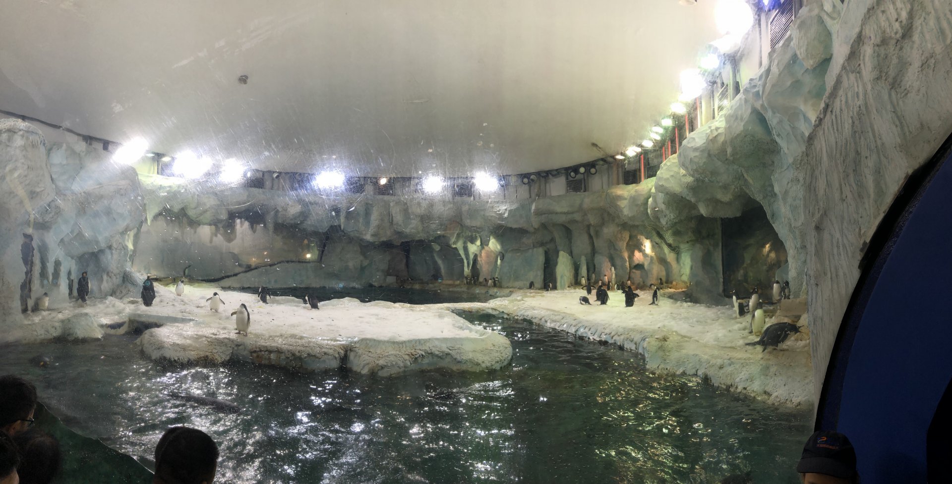 Penguin Exhibit