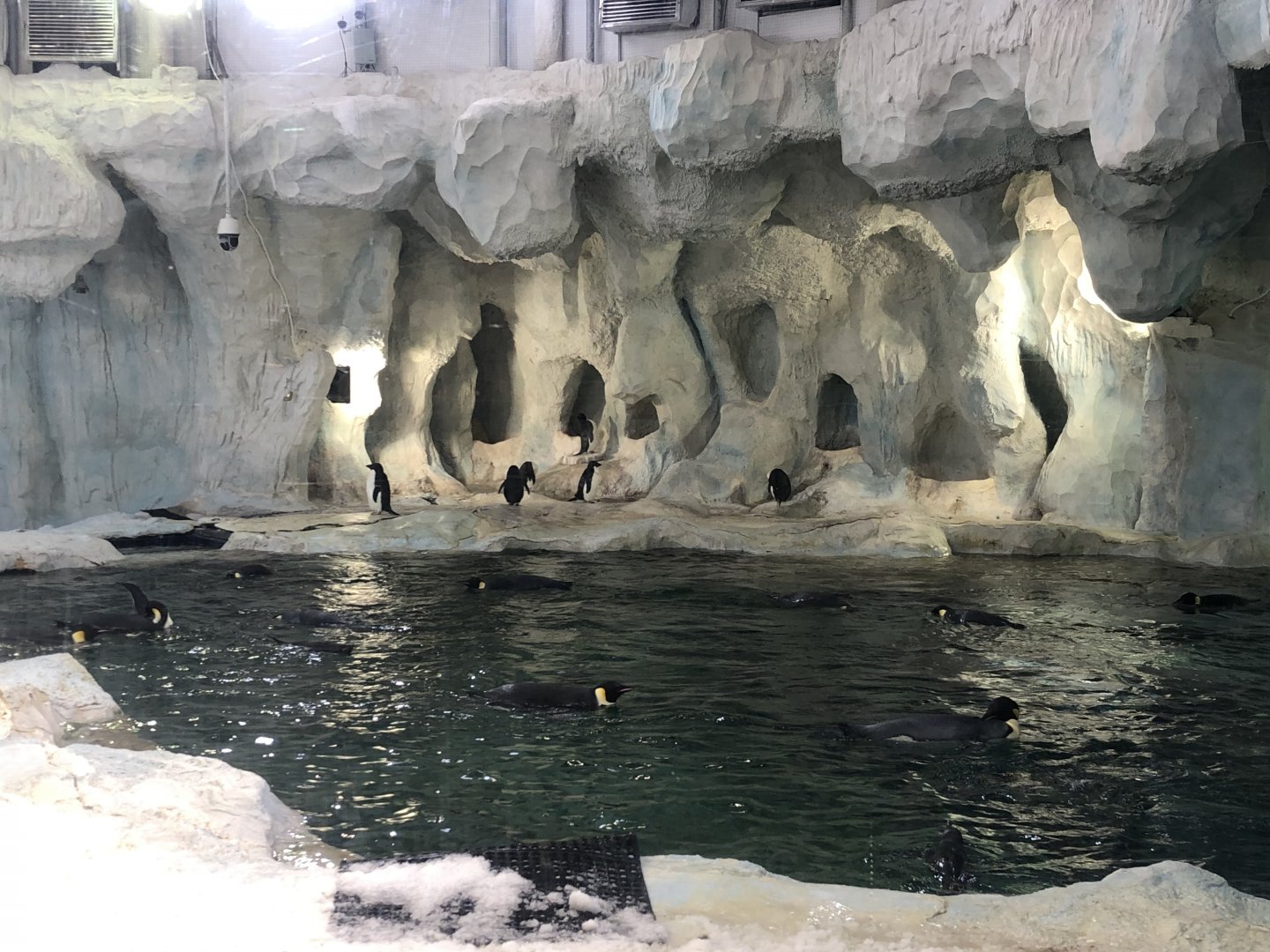 Penguin Exhibit