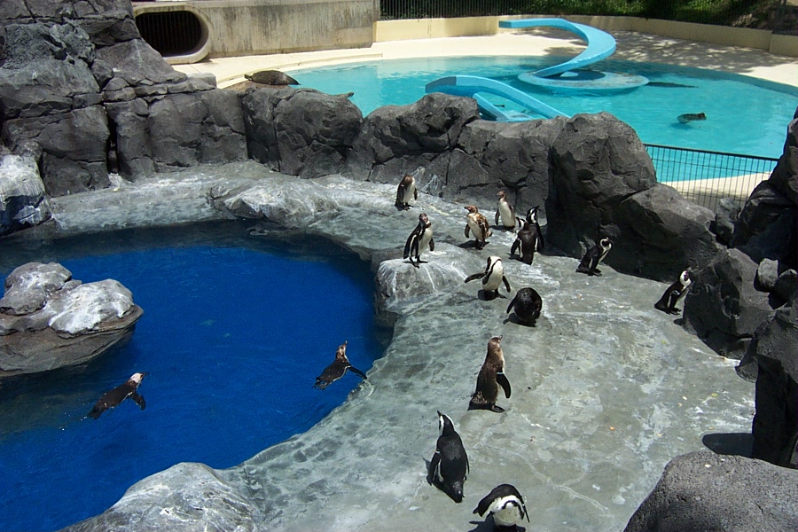 Penguin Exhibit