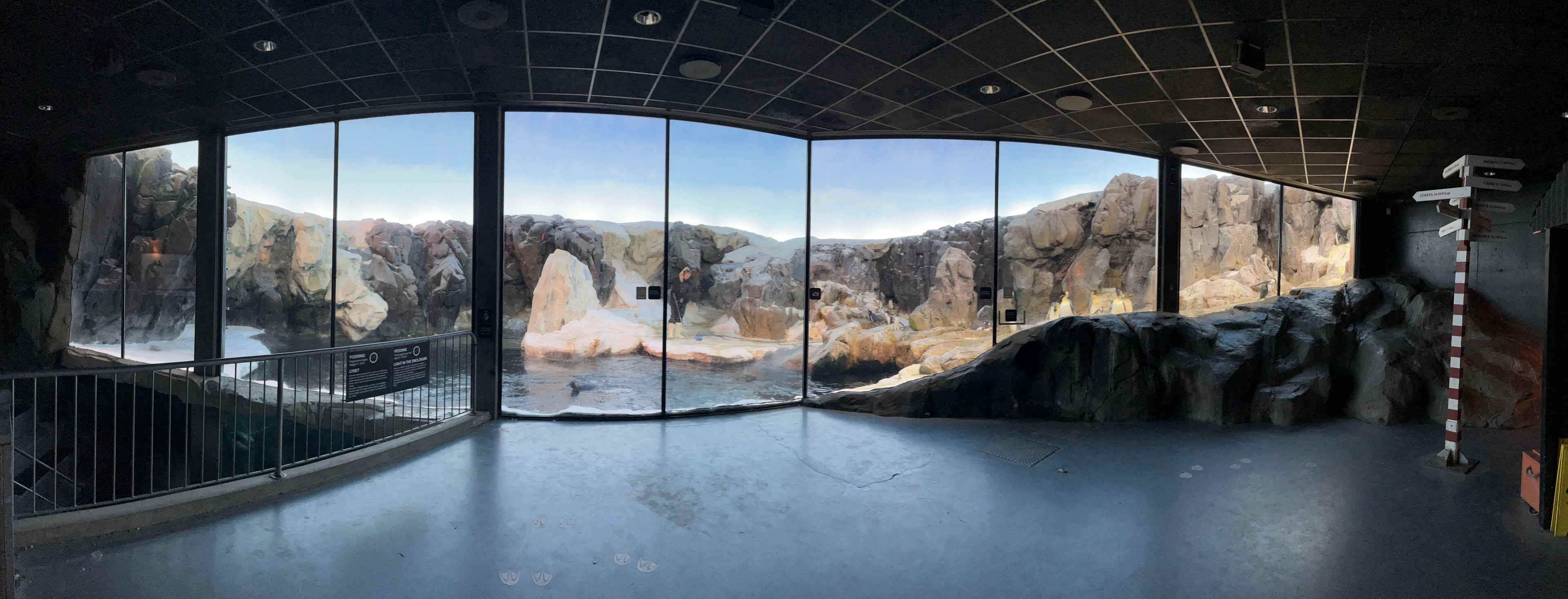 Penguin Exhibit