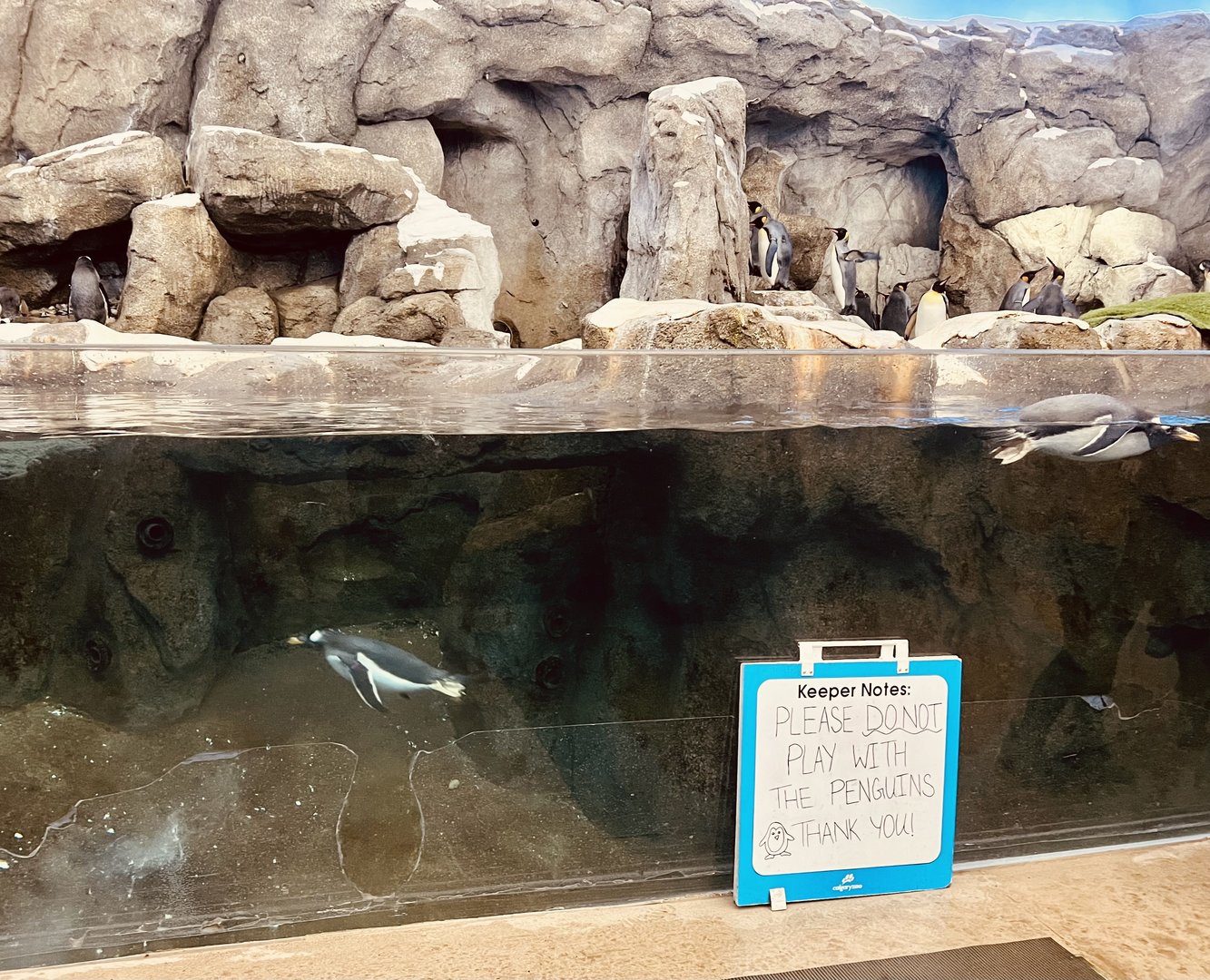 Penguin Exhibit
