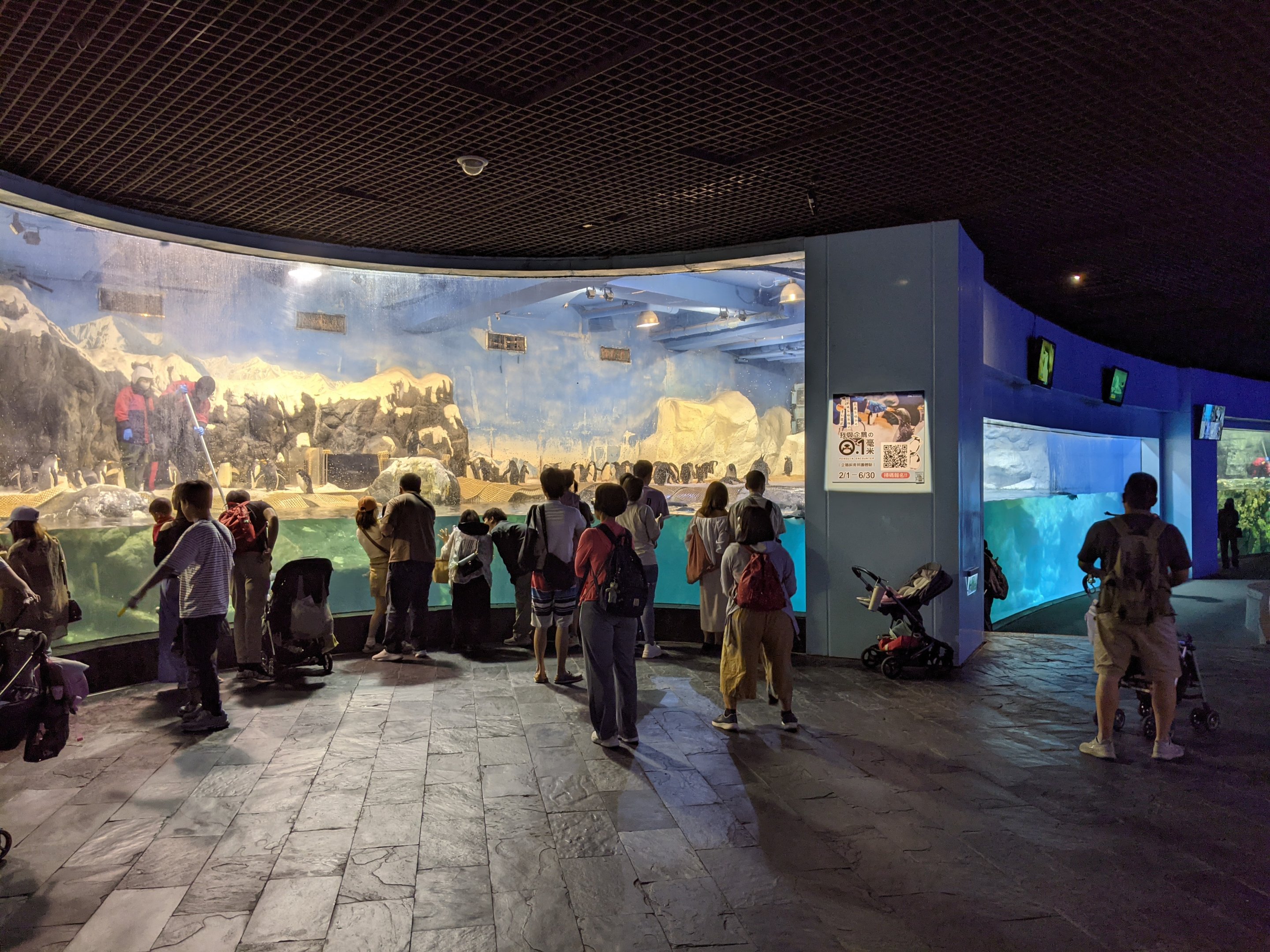 Penguin exhibit