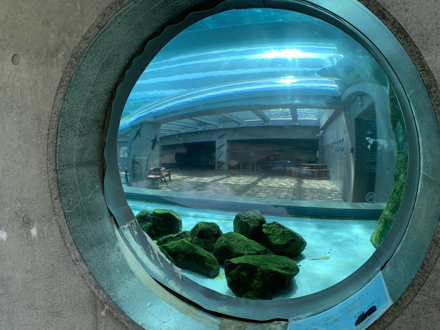 Penguin exhibition (from outside)