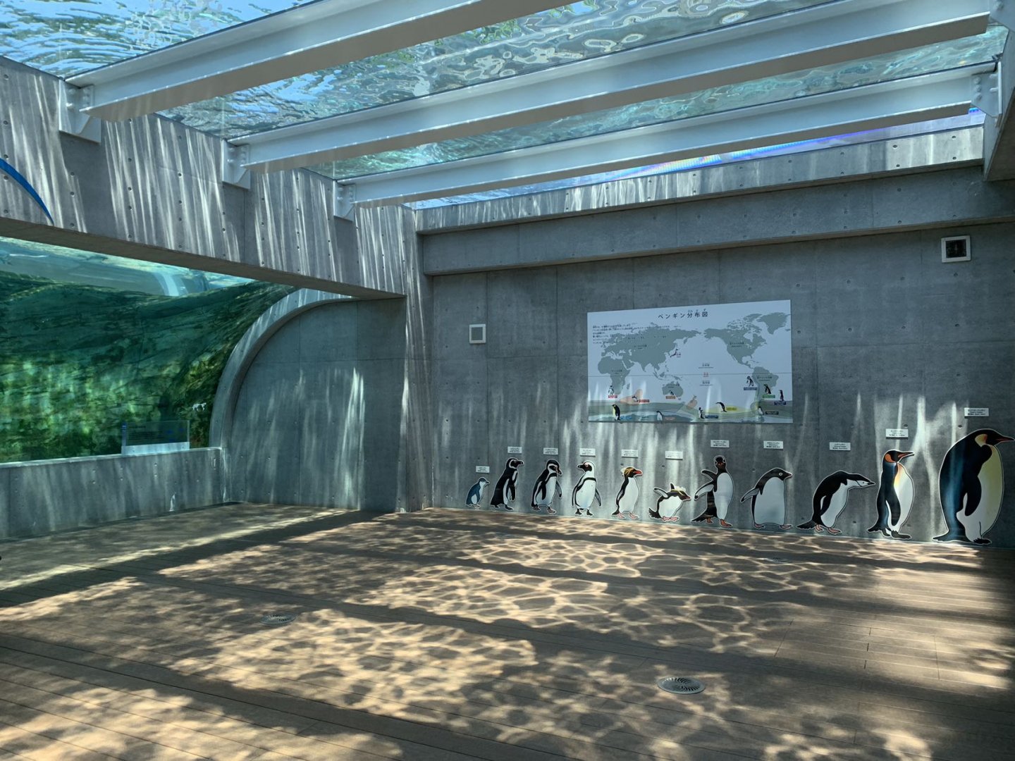 Penguin exhibition