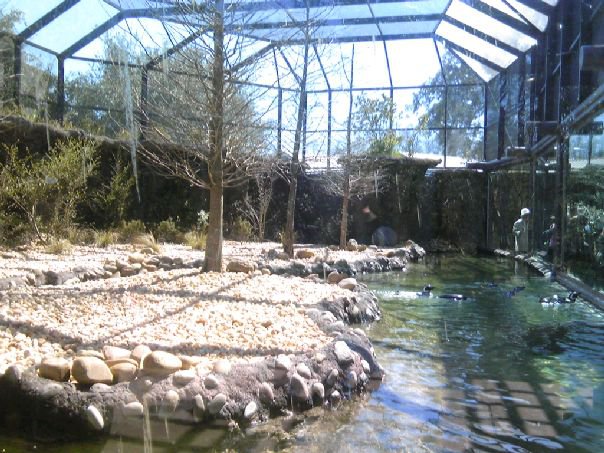Penguin Exhibits