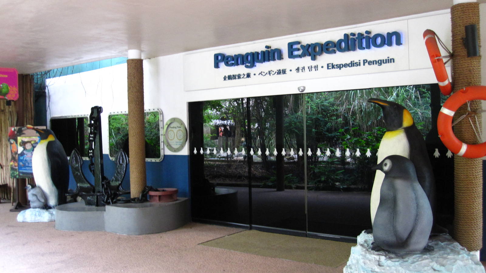 Penguin Expedition
