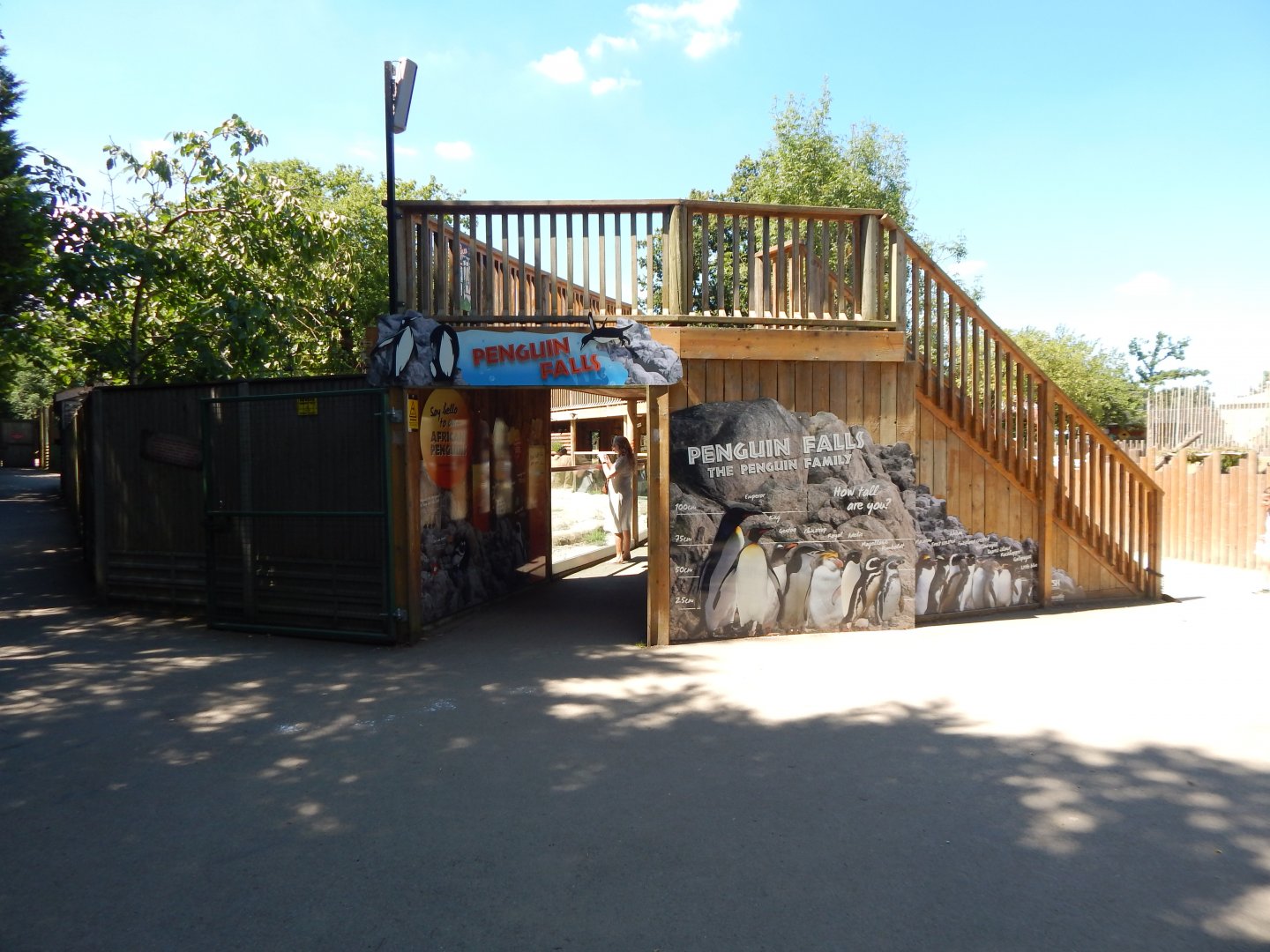 Penguin Falls 100722