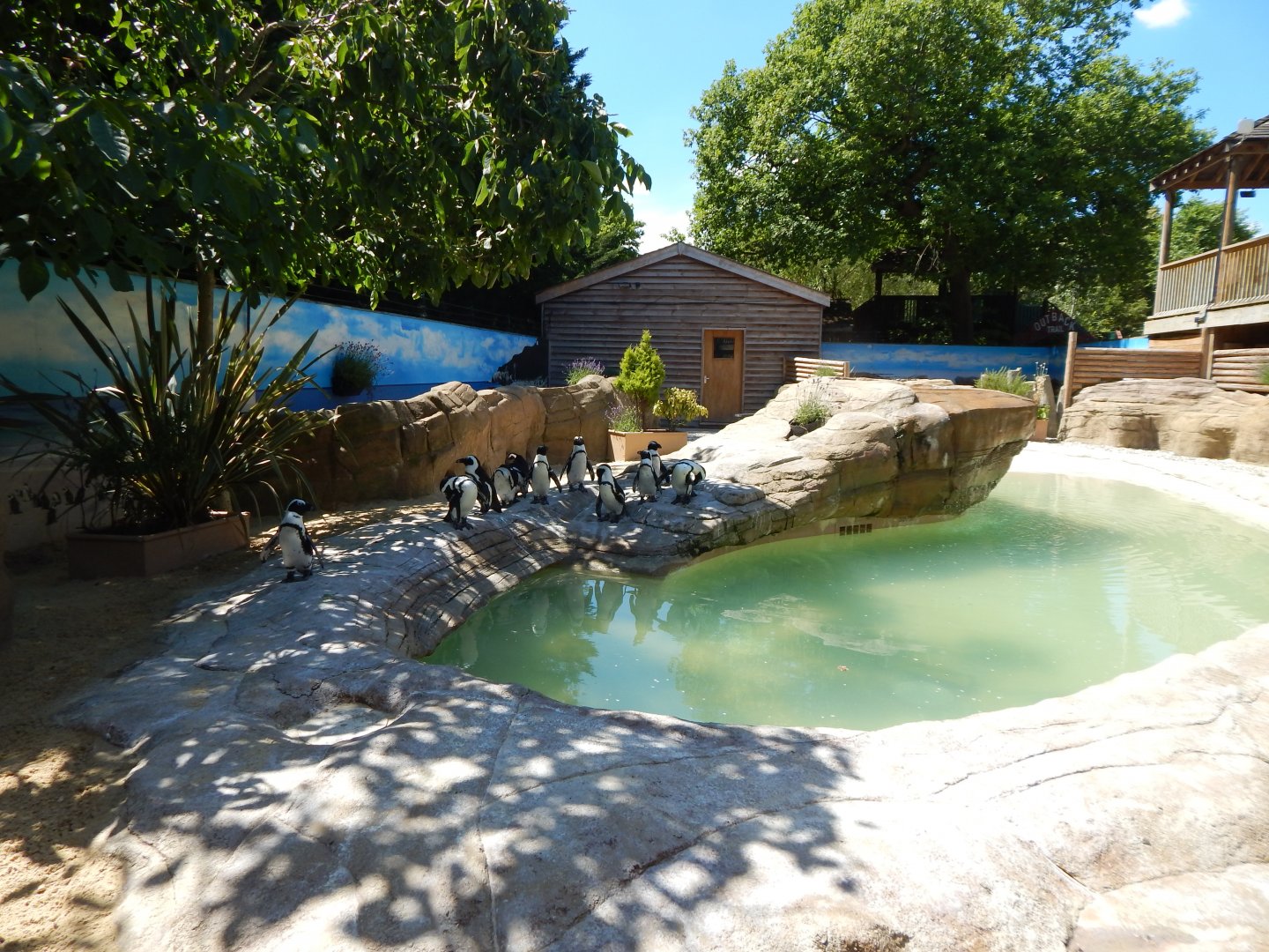 Penguin Falls 100722