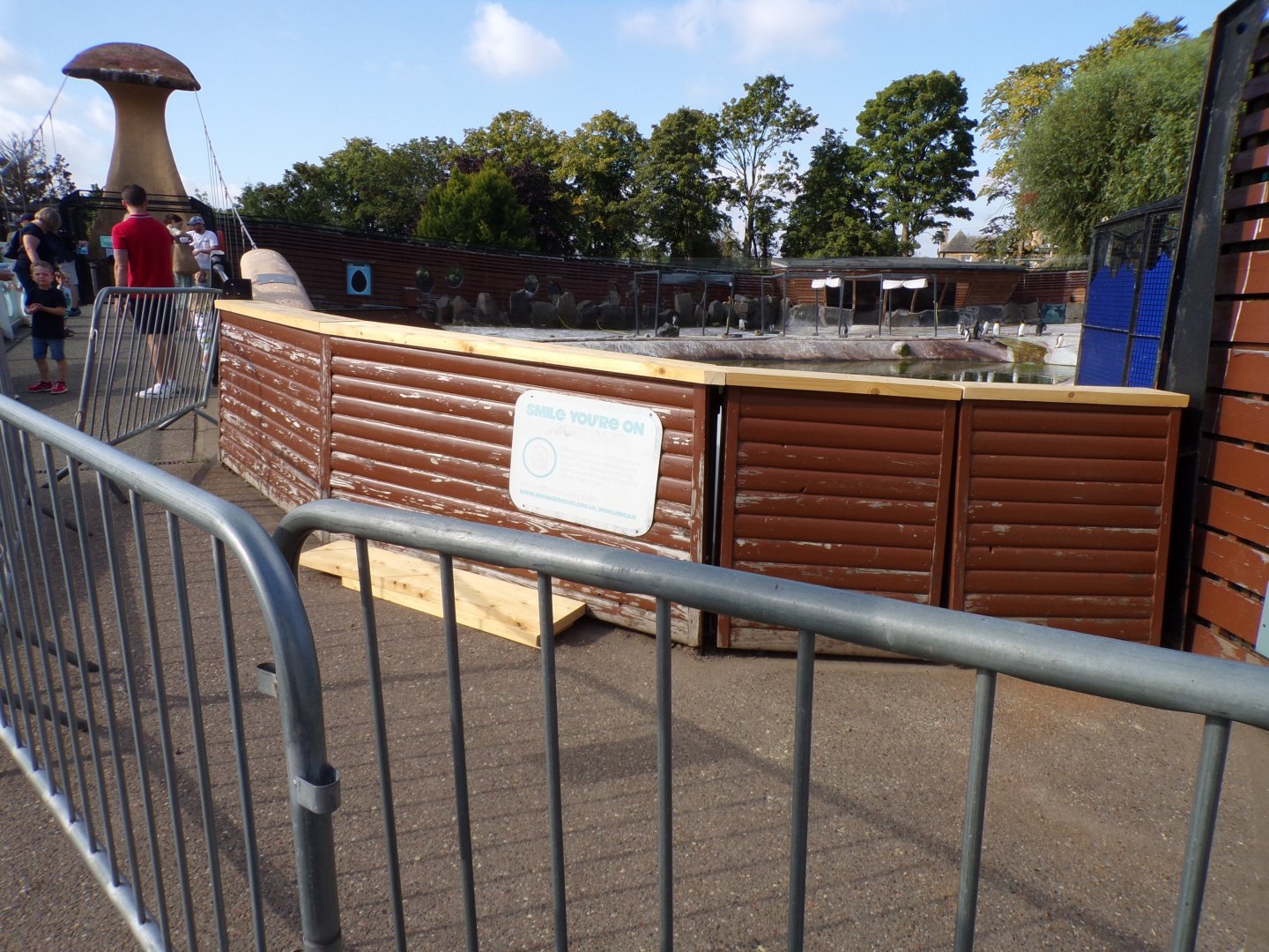 Penguin fencing closed off 9.9.23