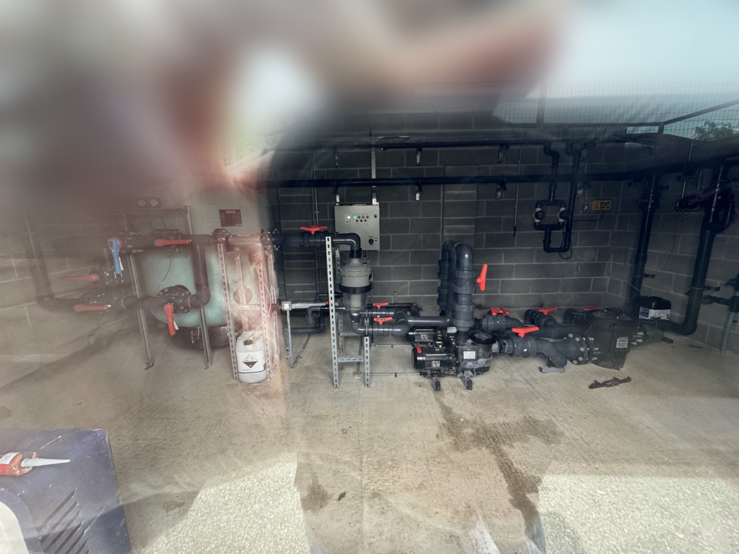 Penguin Filtration at Woodside Wildlife Park (May 2024)