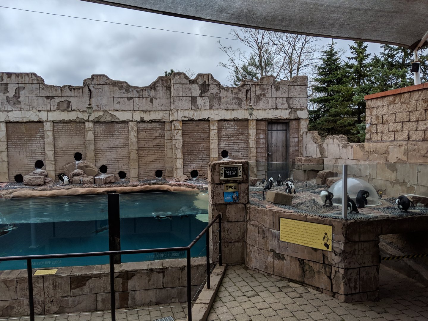 Penguin habitat  (2019)