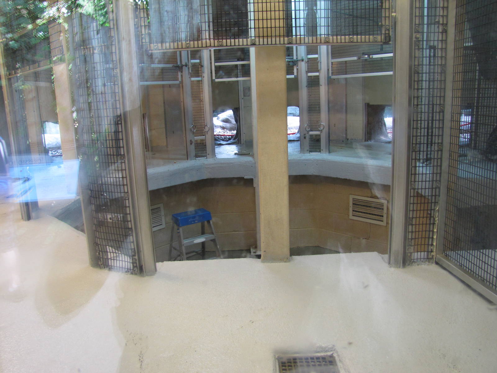 Penguin Holding Area