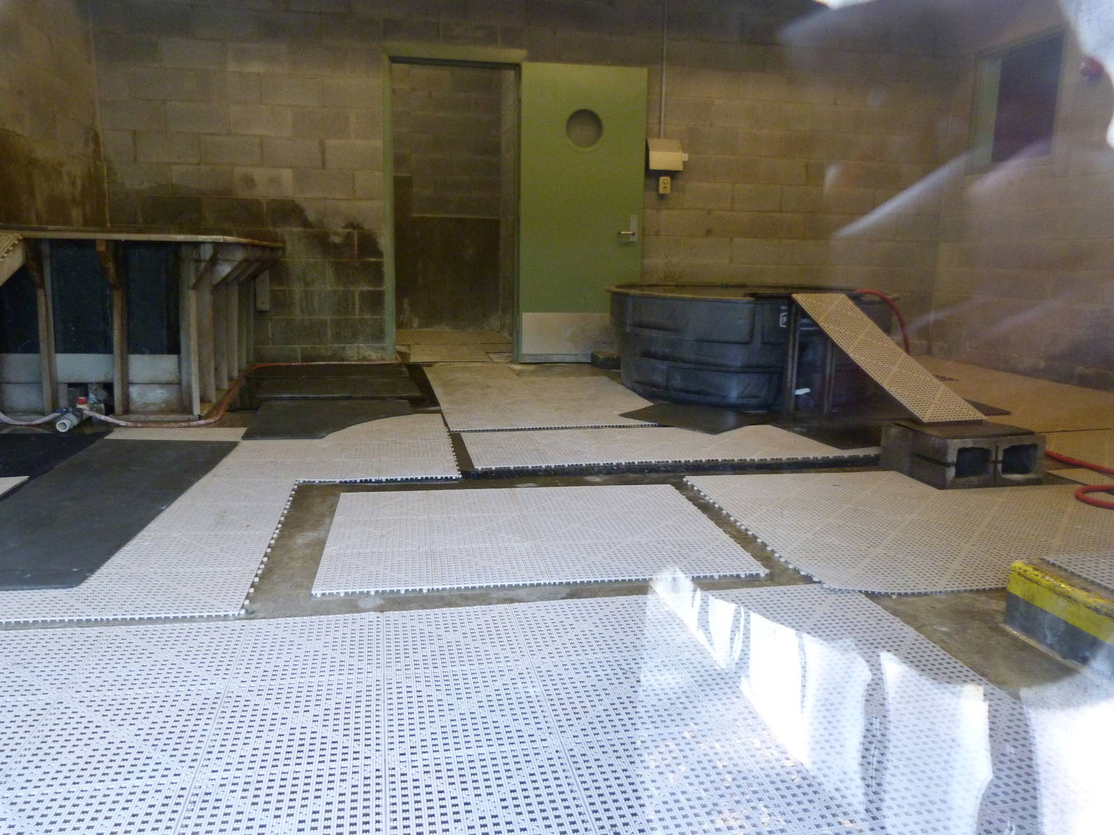 Penguin Holding Area