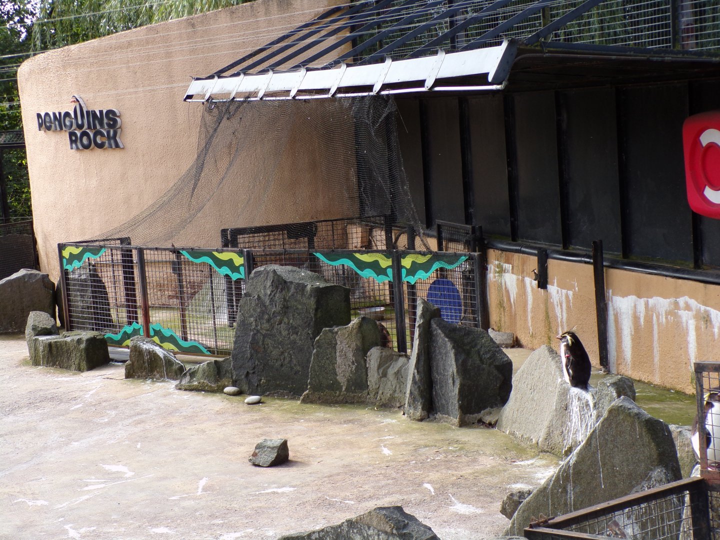 Penguin hospital 19.7.23