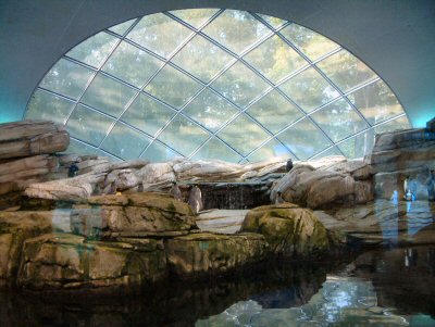 Penguin house Berlin Zoo