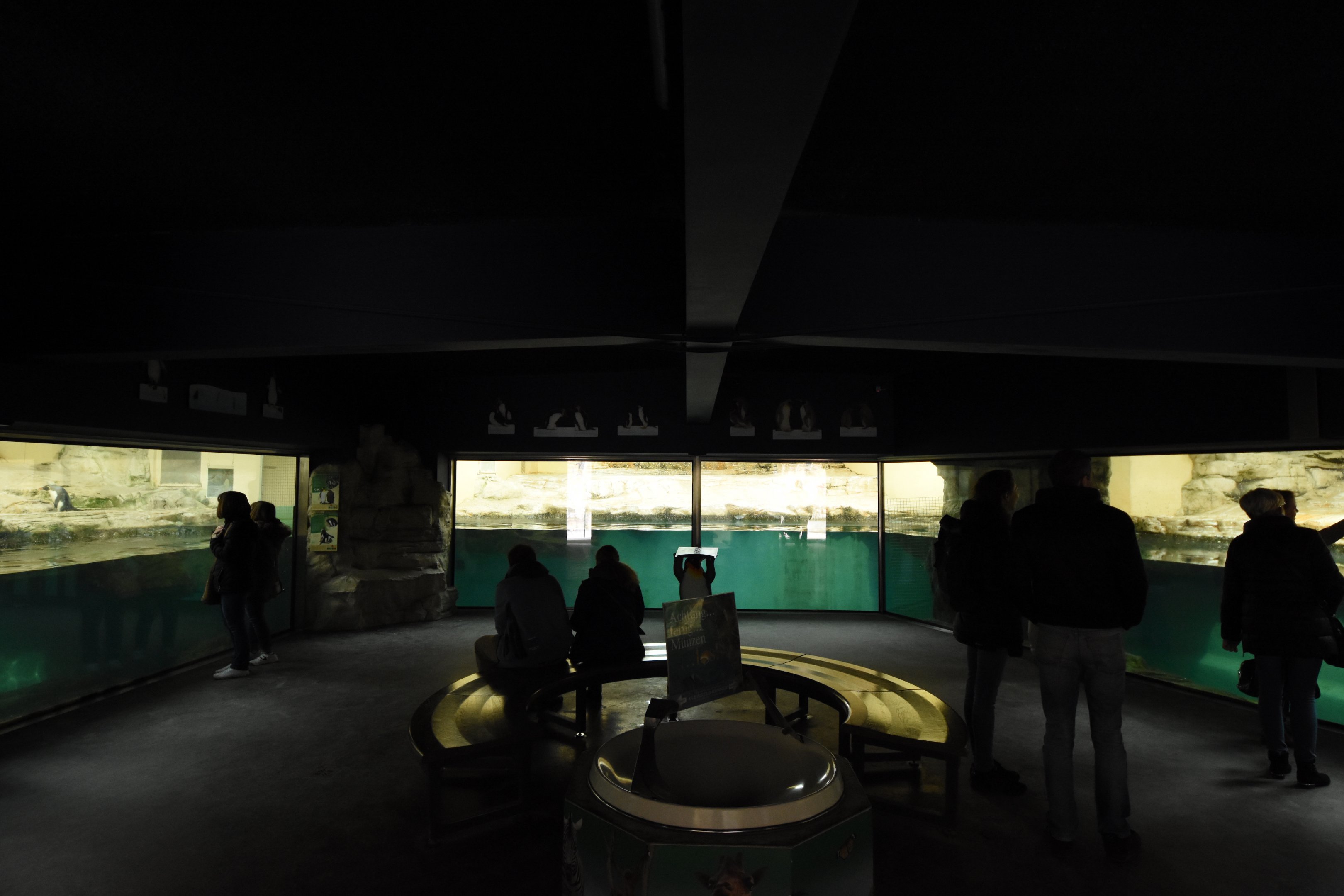 Penguin house - Overview