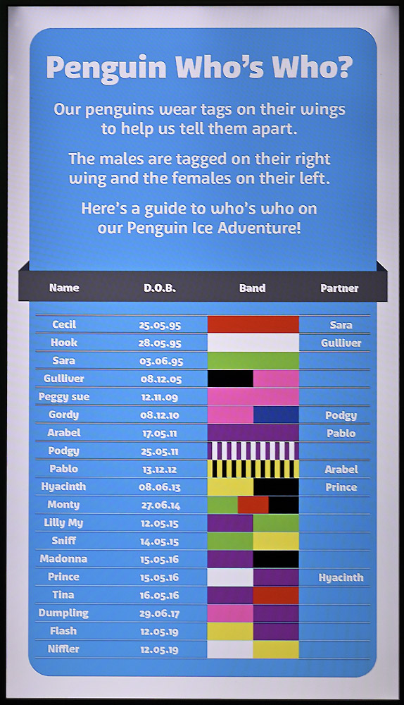 Penguin identification sign
